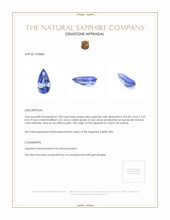 1.00 Ct. Blue Sapphire from Ceylon (Sri Lanka) Appraisal