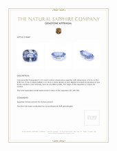Jewelry Appraisal