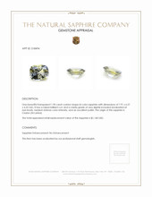 Jewelry Appraisal