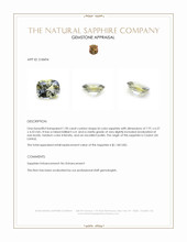 Jewelry Appraisal