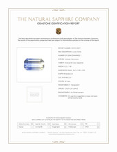 Jewelry Scan Report