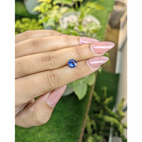 1.15 Ct. Blue Sapphire from Ceylon (Sri Lanka) Life Style