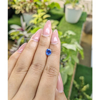 1.37 Ct. Blue Sapphire from Ceylon (Sri Lanka) Life Style
