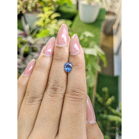 1.30 Ct. Blue Sapphire from Ceylon (Sri Lanka) Life Style