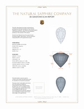 Jewelry 3 D Scan Report