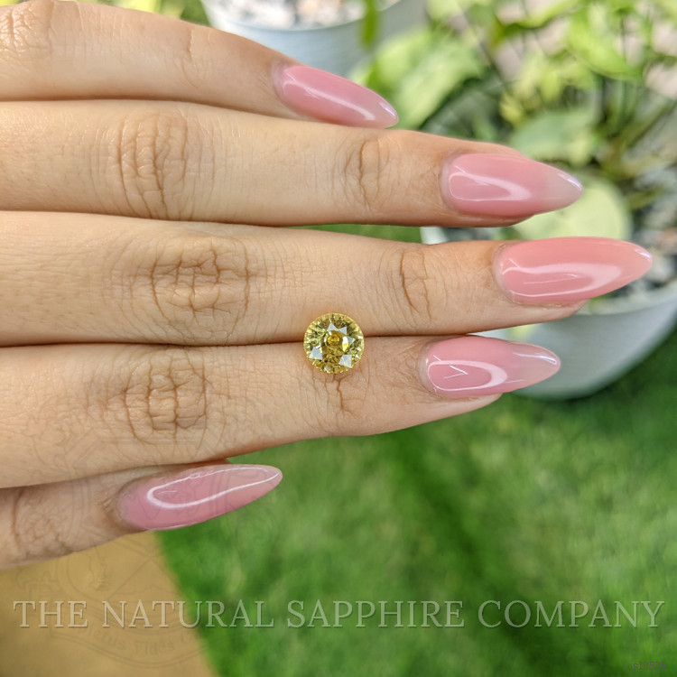 2.70 Ct. Yellow Sapphire from Ceylon (Sri Lanka)