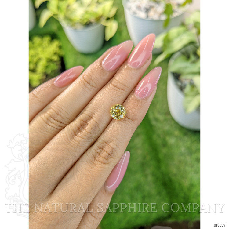 2.70 Ct. Yellow Sapphire from Ceylon (Sri Lanka)