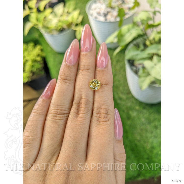 2.70 Ct. Yellow Sapphire from Ceylon (Sri Lanka)