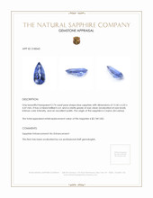 Jewelry Appraisal