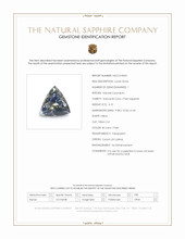 Jewelry Scan Report