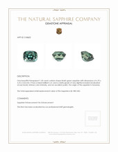Jewelry Appraisal