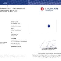 3.32 Ct. Blue Sapphire from Ceylon (Sri Lanka) Scan Report