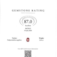 Jewelry Scan Report