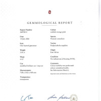 Jewelry Scan Report
