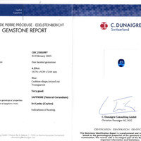 Jewelry Scan Report