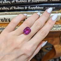 8.49 Ct. Sapphire from Madagascar Life Style