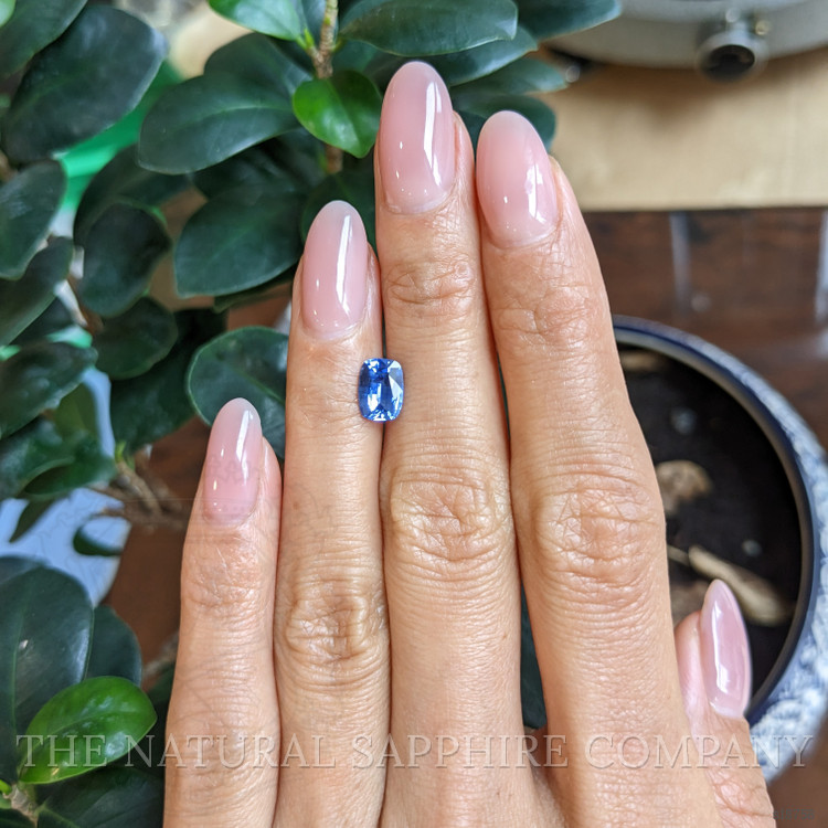 1.34 Ct. Blue Sapphire from Ceylon (Sri Lanka)