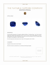 3.07 Ct. Blue Sapphire from Ceylon (Sri Lanka) Appraisal