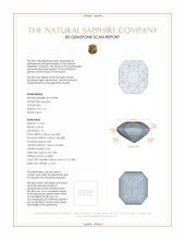Jewelry 3 D Scan Report