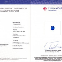 10.25 Ct. Blue Sapphire from Ceylon (Sri Lanka) Scan Report