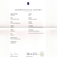 4.06 Ct. Blue Sapphire from Ceylon (Sri Lanka) Scan Report