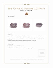 Jewelry Appraisal
