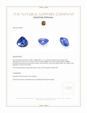 1.01 Ct. Blue Sapphire from Ceylon (Sri Lanka) Appraisal