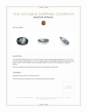 0.75 Ct. Bi Color Sapphire from Ceylon (Sri Lanka) Appraisal