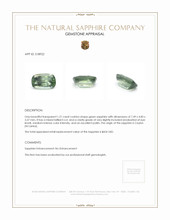 1.21 Ct. Sapphire from Ceylon (Sri Lanka) Appraisal