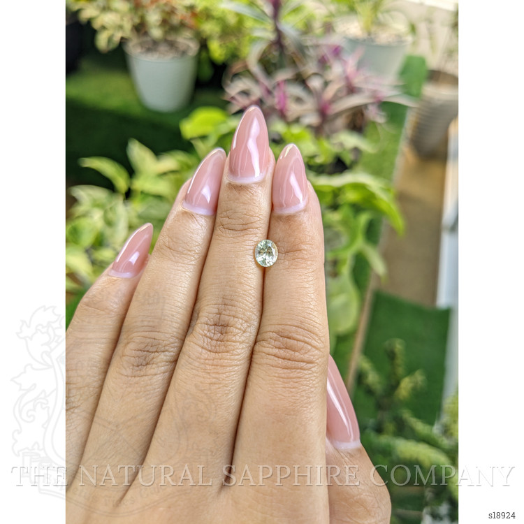 0.83 Ct. Yellowish Green Sapphire from Ceylon (Sri Lanka)