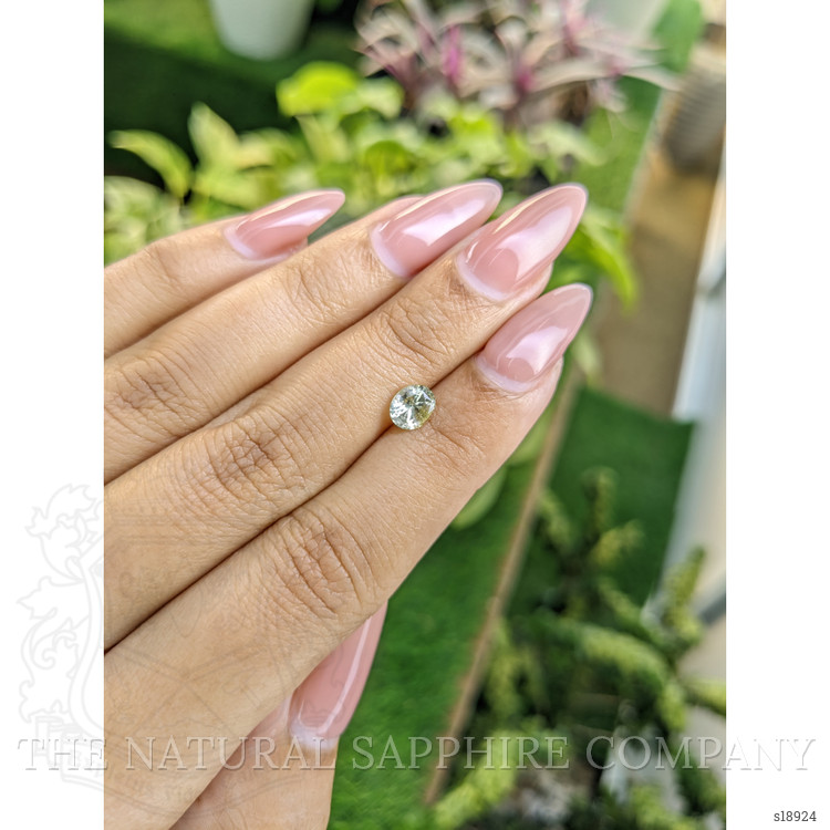 0.83 Ct. Yellowish Green Sapphire from Ceylon (Sri Lanka)