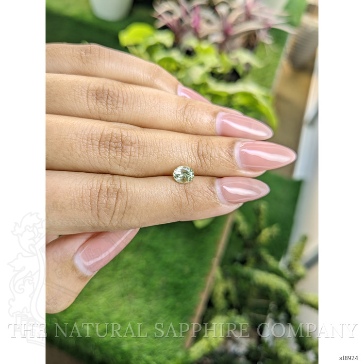 0.83 Ct. Yellowish Green Sapphire from Ceylon (Sri Lanka)