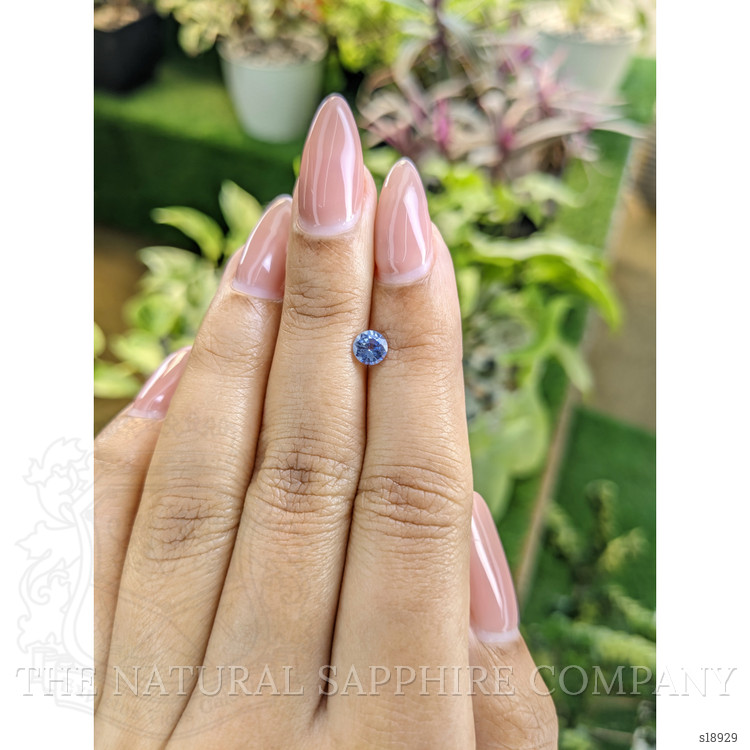 0.56 Ct. Blue Sapphire from Ceylon (Sri Lanka)