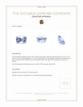 0.89 Ct. Blue Sapphire from Ceylon (Sri Lanka) Appraisal