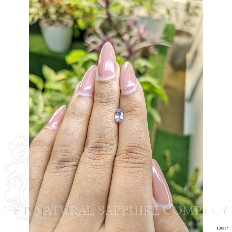 0.75 Ct. Purple Sapphire from Ceylon (Sri Lanka)