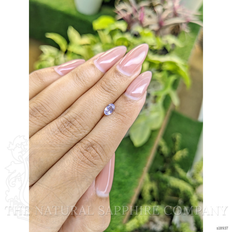 0.75 Ct. Purple Sapphire from Ceylon (Sri Lanka)