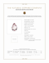 Jewelry Scan Report
