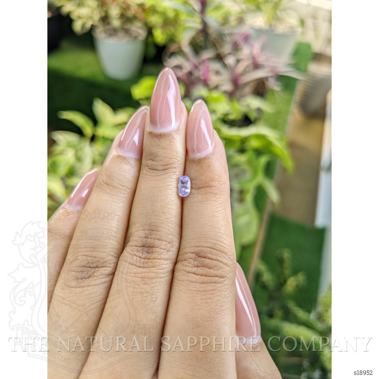 0.66 Ct. Purple Sapphire from Ceylon (Sri Lanka)
