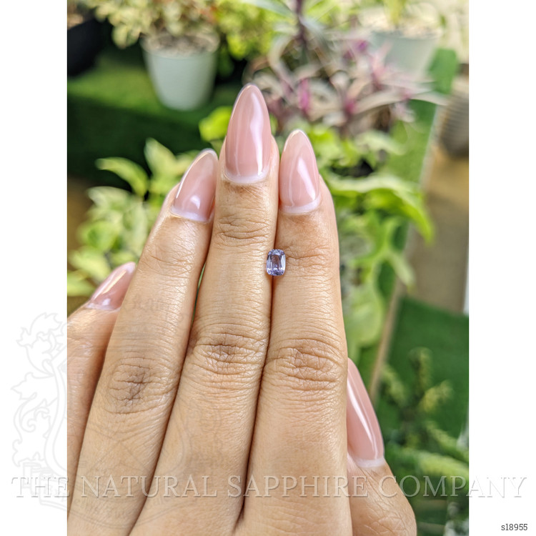 0.61 Ct. Purple Sapphire from Ceylon (Sri Lanka)