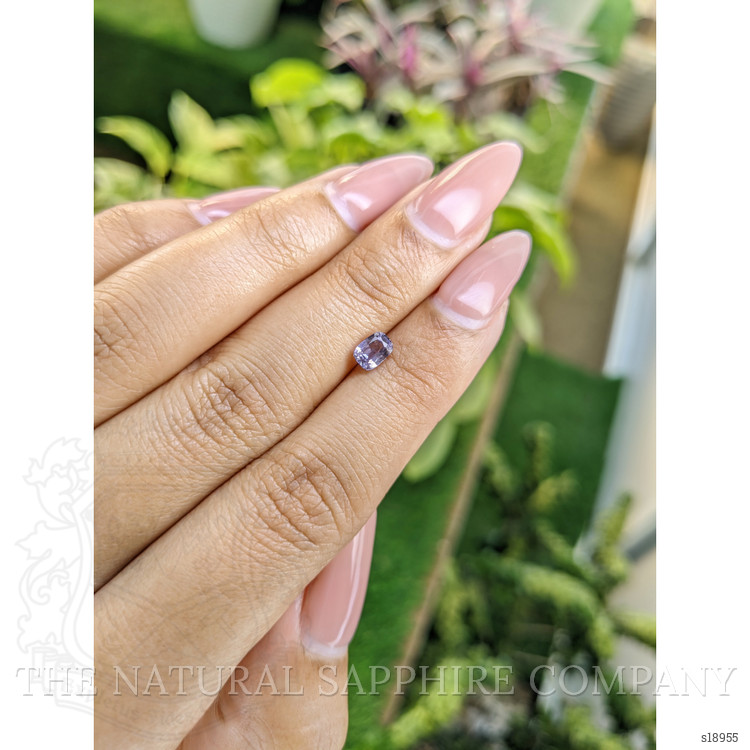0.61 Ct. Purple Sapphire from Ceylon (Sri Lanka)