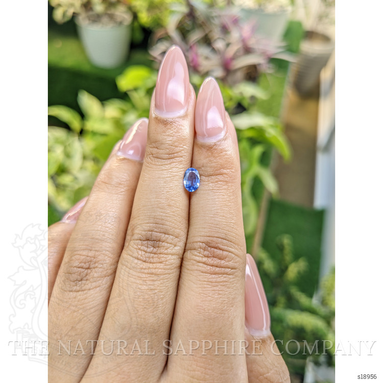 0.56 Ct. Blue Sapphire from Ceylon (Sri Lanka)