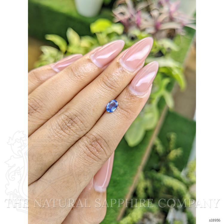 0.56 Ct. Blue Sapphire from Ceylon (Sri Lanka)