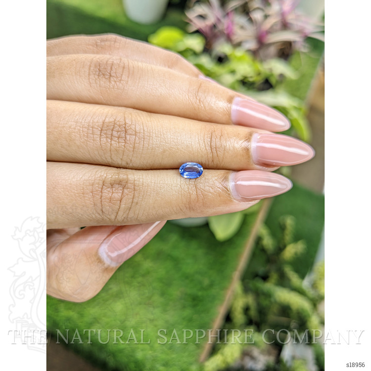 0.56 Ct. Blue Sapphire from Ceylon (Sri Lanka)