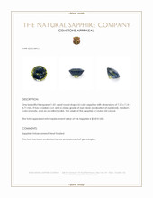 Jewelry Appraisal