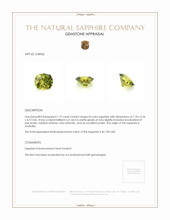 1.73 Ct. Sapphire from Australia Appraisal