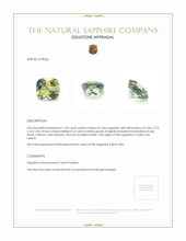 Jewelry Appraisal