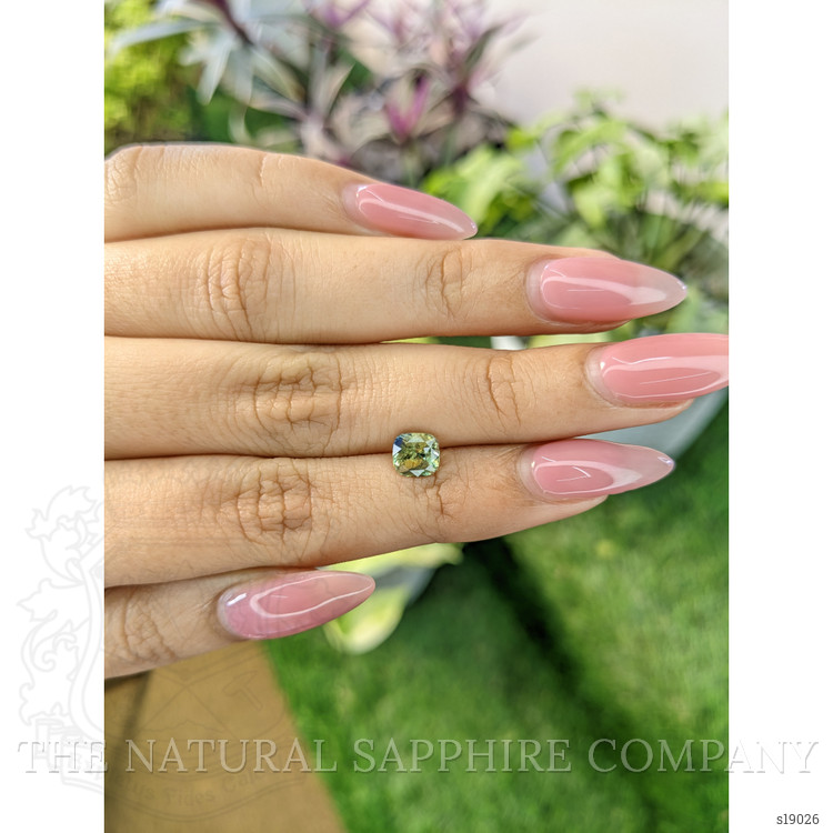 1.34 Ct. Bi Color Sapphire from Ceylon (Sri Lanka)