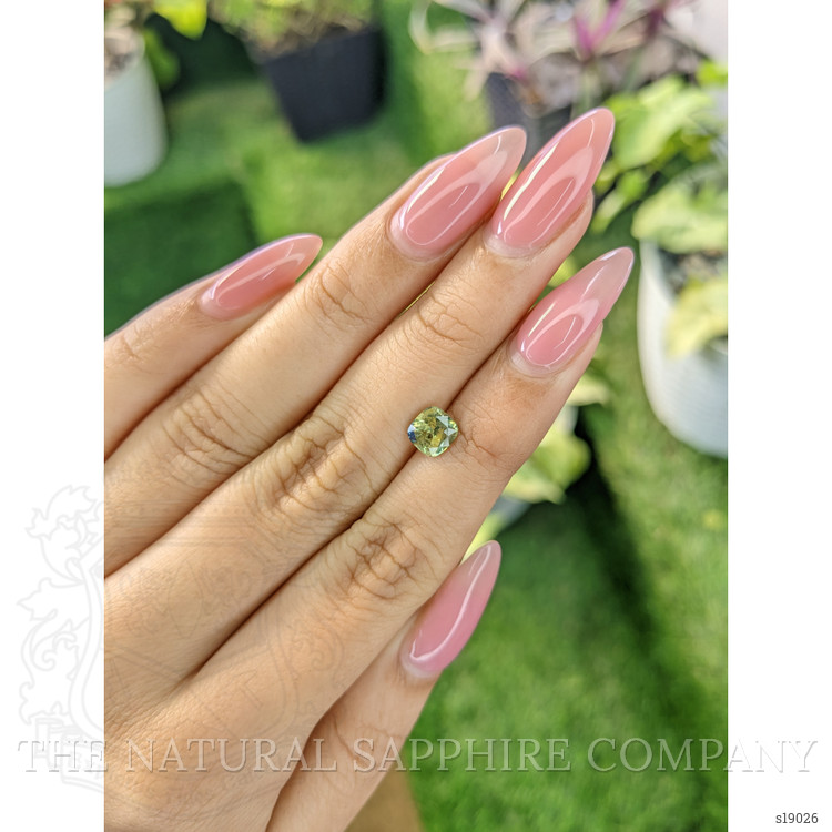 1.34 Ct. Bi Color Sapphire from Ceylon (Sri Lanka)