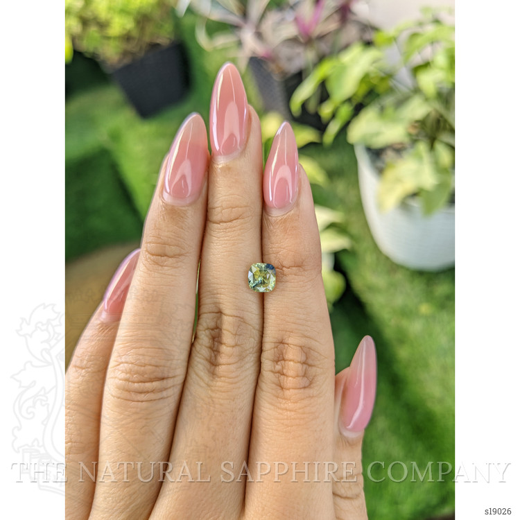 1.34 Ct. Bi Color Sapphire from Ceylon (Sri Lanka)