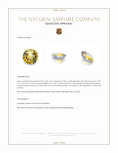 2.23 Ct. Bi Color / Parti Sapphire from Ceylon (Sri Lanka) Appraisal